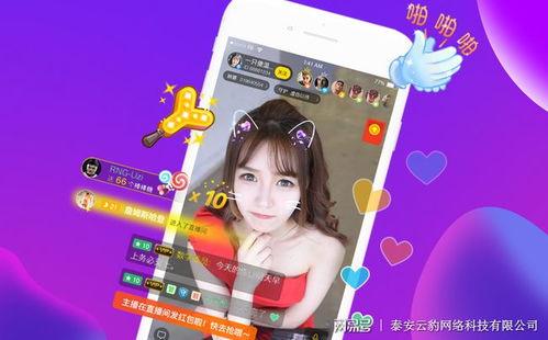 娱乐爆料吃瓜直播视频,直播吃瓜，带你领略幕后风云  第1张